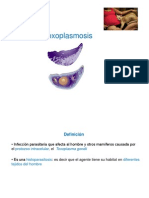 Toxoplasmosis - PDF