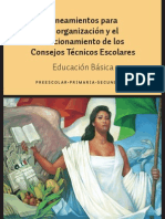 Lineamientos Para La Organizacion y El Funcionamiento Consejos Tecnicos Escolares