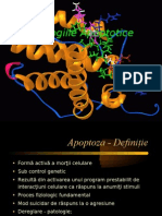 Patologii Apoptotice