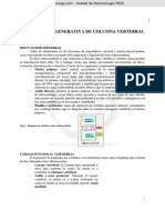 Curso5 Tema8 Patología Degenerativa de Columna Vertebral CEU