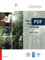 UN-REDD Programme 2011-2015 Strategy - English[1]