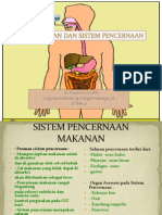 Sistem Pencernaan Manusia