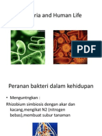 Bacteria and Human Life-Billy