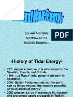 Tidal and Wave Energy