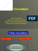 Fetal Cir