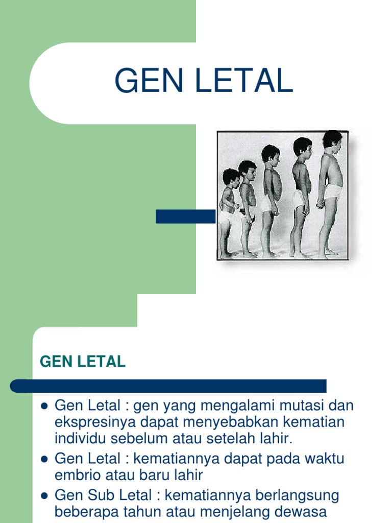 Gen Letal dan Penyakit Genetik | PDF
