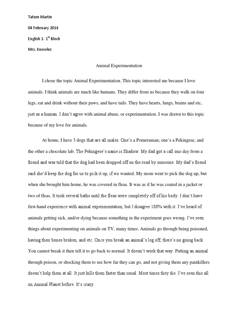 Exploratory essay outline pdf image