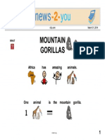 Mountain Gorillas Simplified