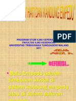 presentasi-seminar-gizi-dan-diet.ppt