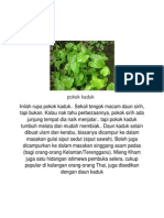 Pokok Herba