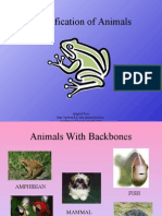 Animal Classification