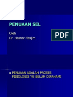 Penuaan Sel