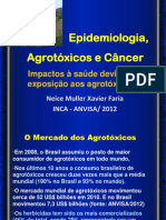 Neice Faria Epidemiologia Agrotoxicos Cancer