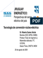 Nucleo Electrica Presentacion IEEE