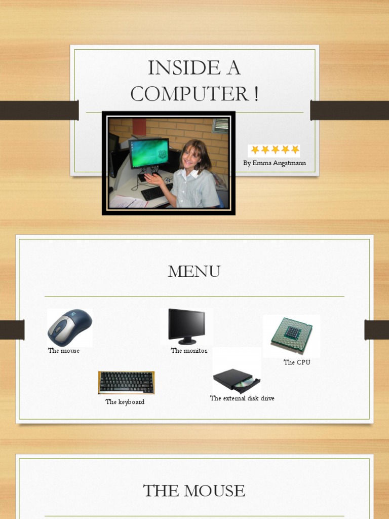 Computer Basics for Beginners | PDF