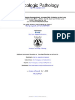 Arsenic and Cigarette Smoke Synergistically Increase DNA Oxidation in The Lung. - 2006 - Hays Et Al