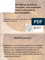 Bioenergía_Dr. Juan Bustamante y Dra. Stela Da Silva