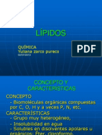 LIPIDOS