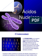 Acid Os Nuclei Cos