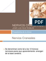 Nervioscraneanos 111020215859 Phpapp02