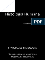 Gran Atlas de Histología Humana