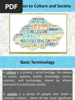 Introduction to Culture and Society 4A2