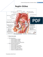 Region Glute A