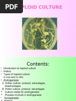 Download Haploid Culture by Spark is within me SN21562818 doc pdf