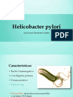 Helicobacter Pylori