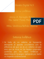 Sistema Linfatico (1)