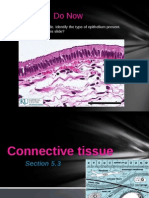 Do Now: Observe The Following Slide. Identify The Type of Epithelium Present. What Else Is Present in This Slide?