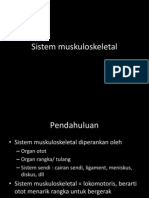 Sistem Muskuloskeletal PDF