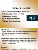 Rumput & Legum