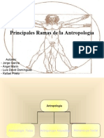 Ramas de La Antropologia