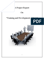 A Project Report On "Training and Development of HAL"