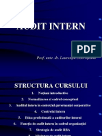 Curs Audit Intern-Zi