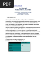 Download Makalah Mikrobiologi Air by Septian Jefry CN SN215680030 doc pdf