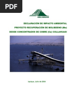 DIA- Proyecto Recuperación Mo CMDICpdf