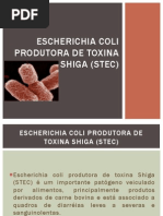 Escherichia Coli Produtora de Toxina Shiga (STEC