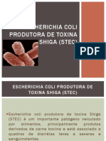 Escherichia Coli Produtora de Toxina Shiga (STEC