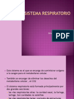 Sistema Respiratorio