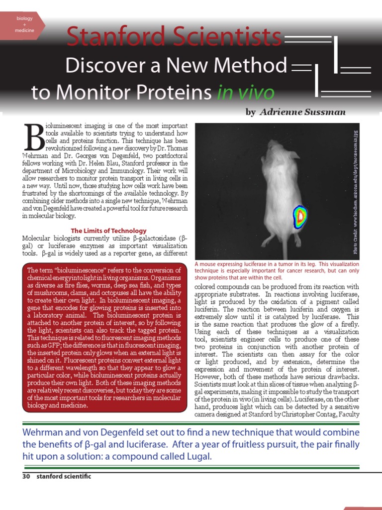 SSM Winter 2007 Biomed Monitor Proteins | PDF | Luciferase | Green ...