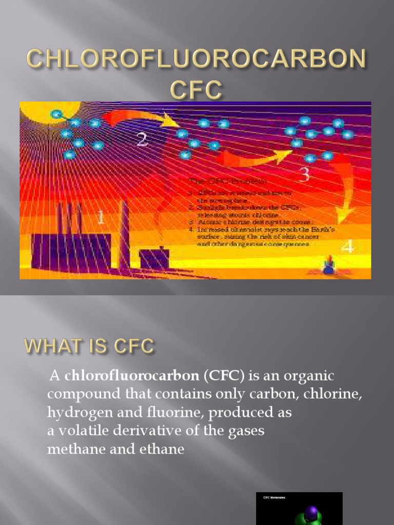 Cfc Pdf