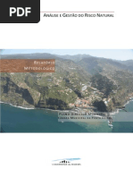 16_1_Relatório_Síntese_RISCOS (1)