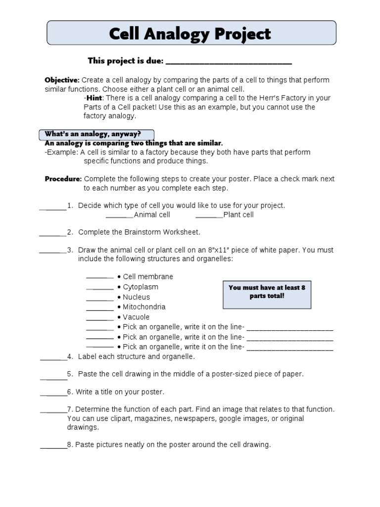 Biography autobiography analogy picture
