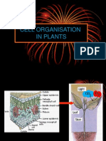 Cell Organisation in Plants