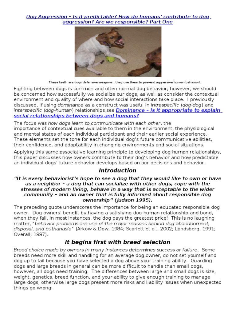Dog Aggression - Is It Predictable? How Do Humans' Contribute To Dog ...
