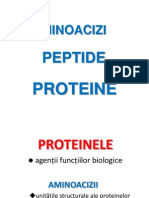 3 - 4 Aminoacizi Peptide