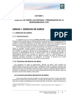 Lectura 1 - Derecho de Daños, los sistemas y supuestos de la responsabilidad civil