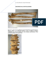 Variaciones en Articulaciones Antropologia Morfologica